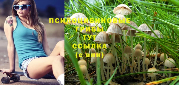 таблы Алексеевка