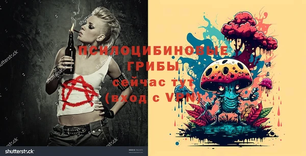метадон Алексин