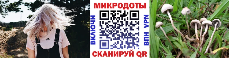 Галлюциногенные грибы ЛСД  Гусь-Хрустальный 